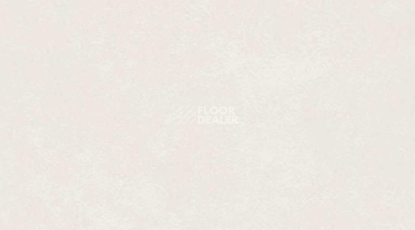 Линолеум Настенное покрытие Mural Calypso 7711 Ice фото 1 | FLOORDEALER